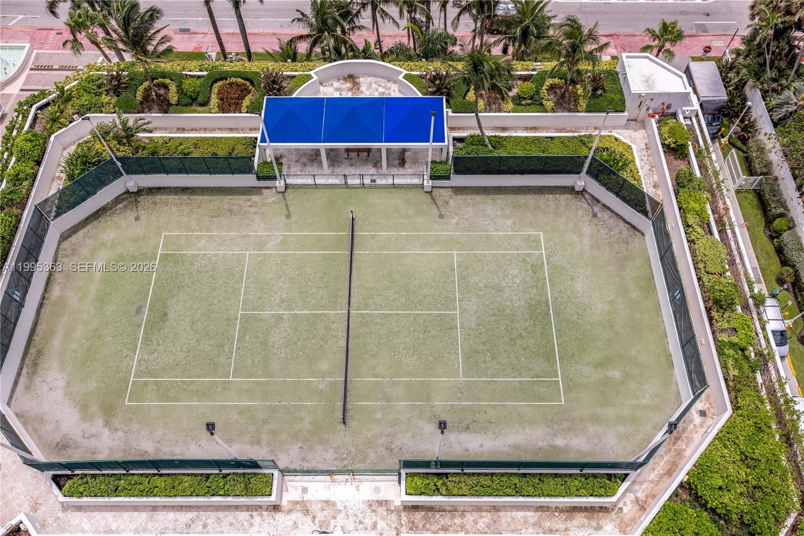 image Blue Diamond19