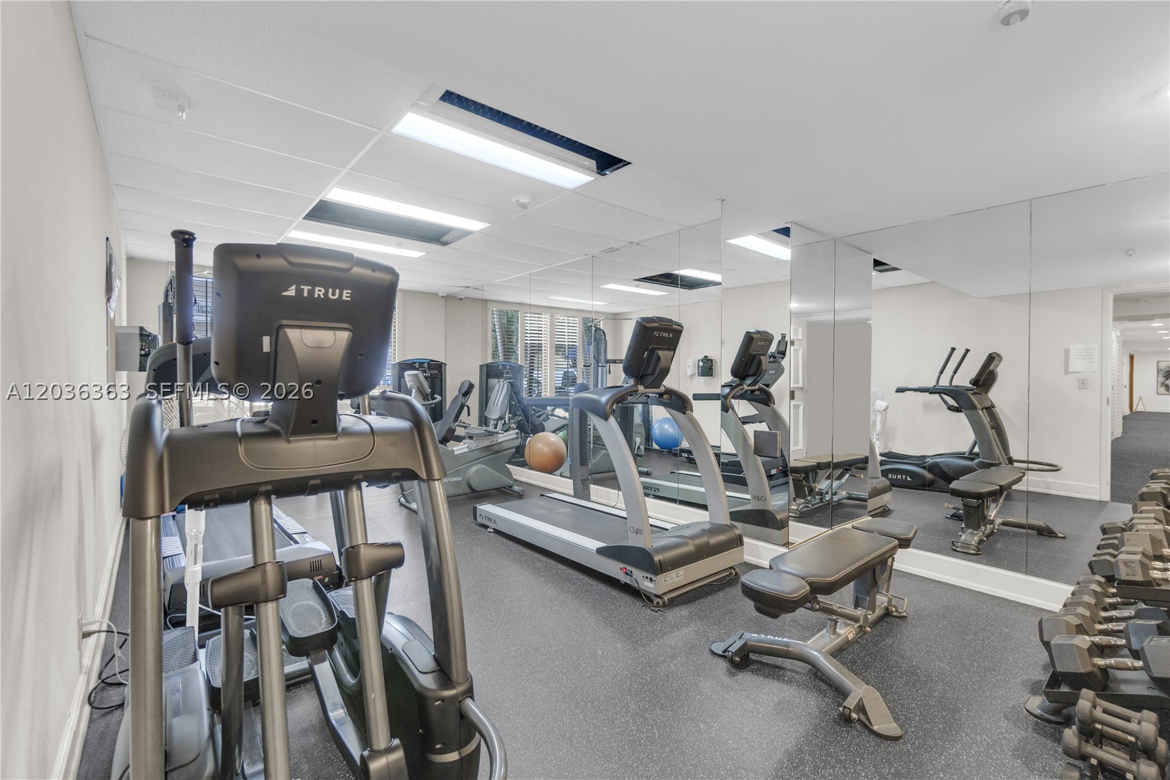 3100 NE 48th St #212 Fort Lauderdale, FL 33308