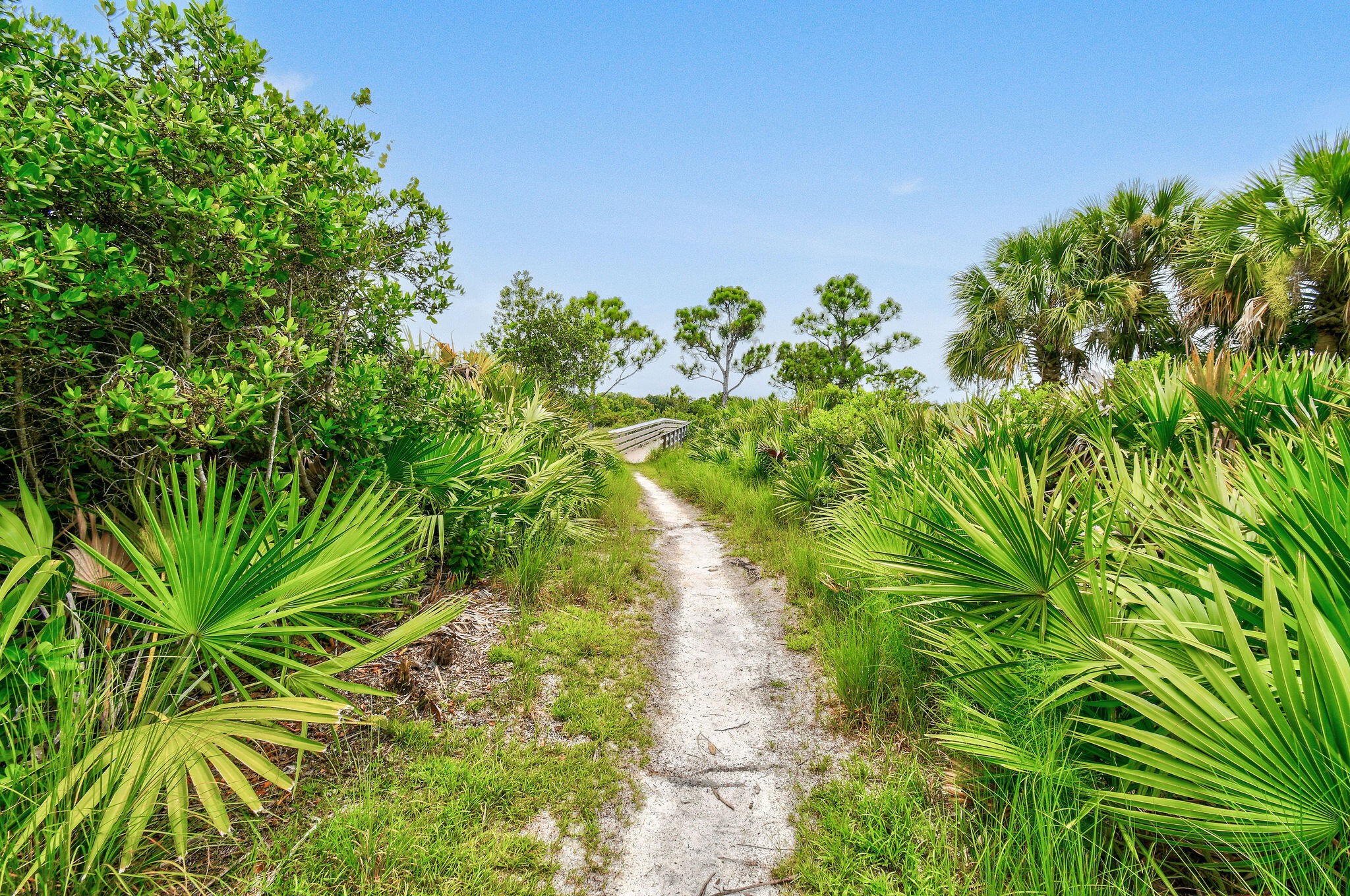 355 E Thatch Palm #103 Jupiter, FL 33458