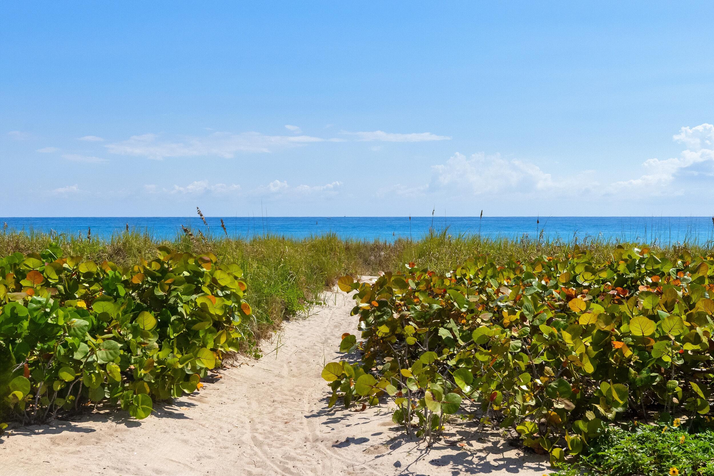 211 Ocean Palm Beach, FL 33480