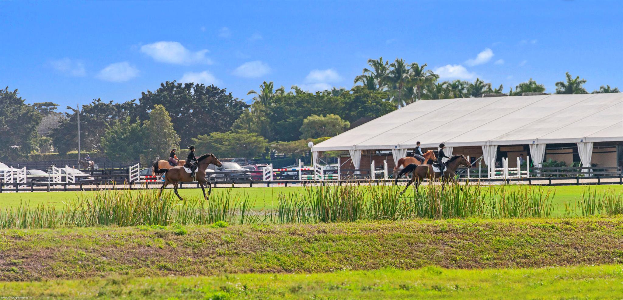 14775 Equestrian Way Wellington, FL 33414