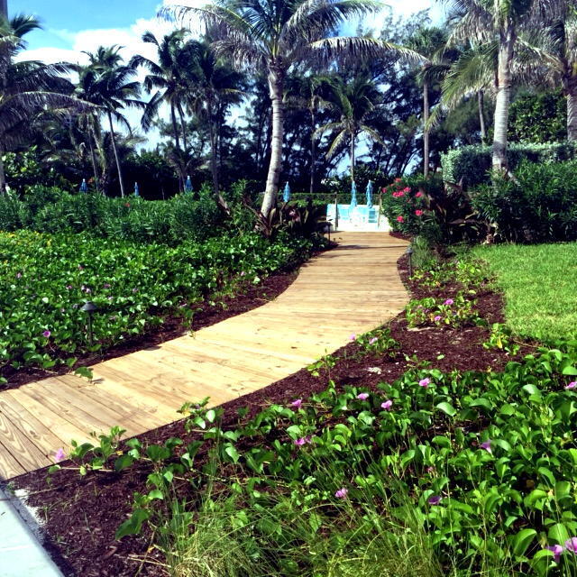 5080 N Ocean #9d Singer Island, FL 33404