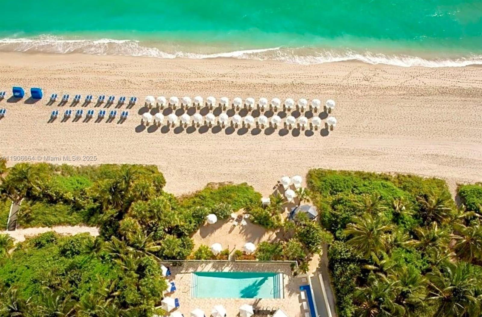 image Sole On The Ocean19