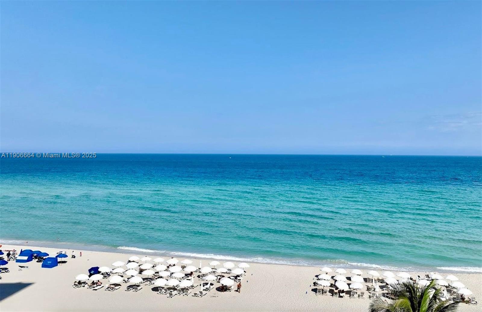 image Sole On The Ocean22