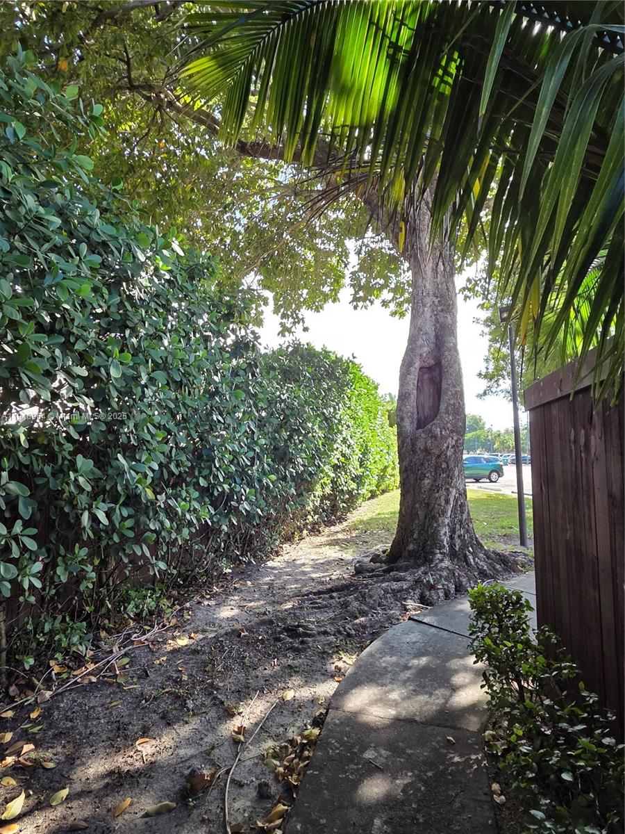 7034 SW 114th Pl #H51 Miami, FL 33173