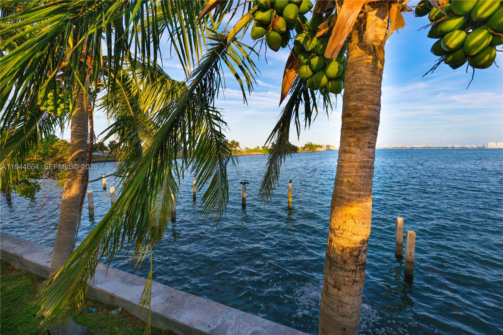 600 NE 36th St #1220 Miami, FL 33137