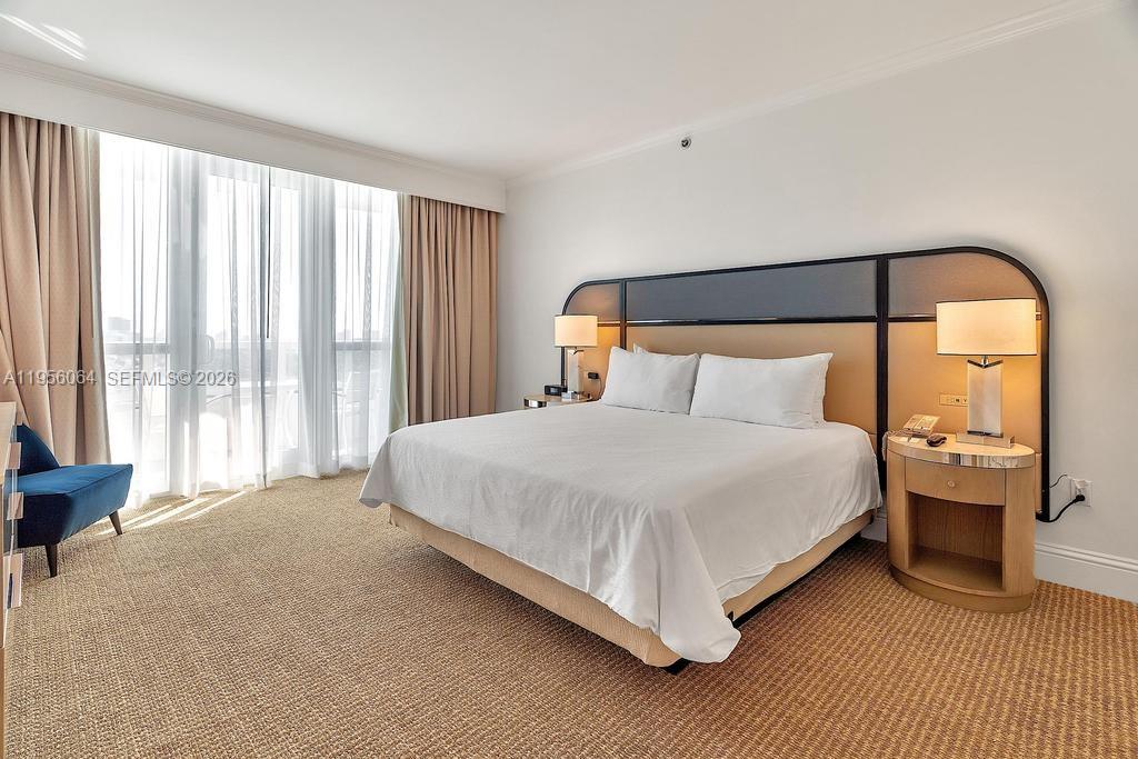 image Fontainebleau II19