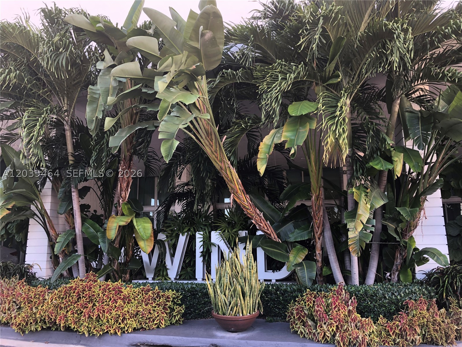 image Wind18
