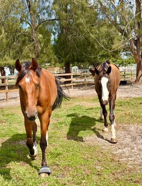 12100 NW 27th Ct Plantation, FL 33323