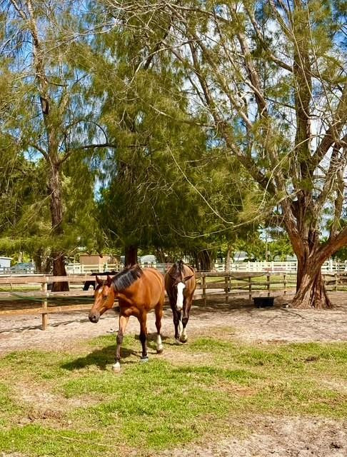 12100 NW 27th Ct Plantation, FL 33323