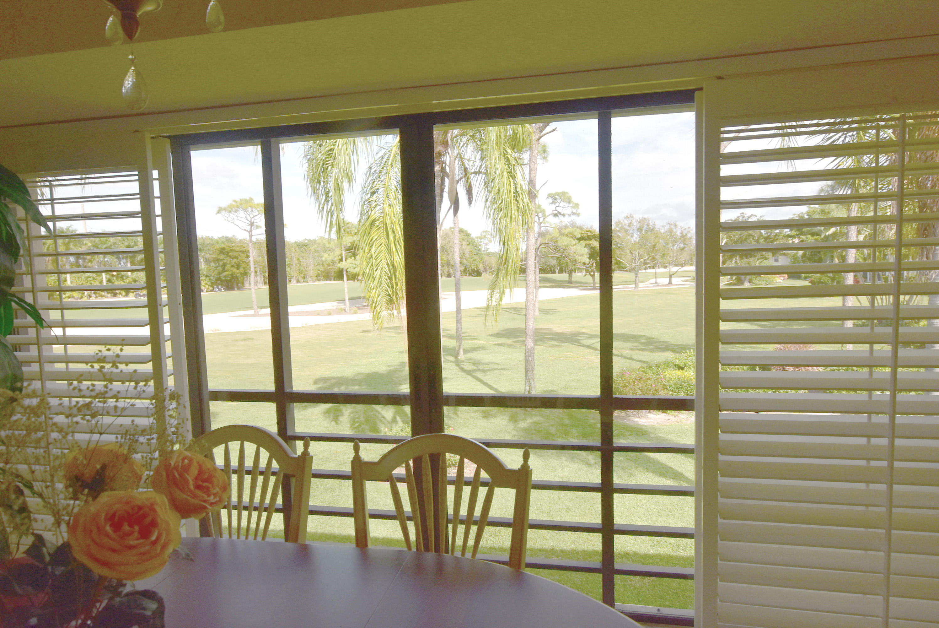 11232 Quail Covey Road #Green Heron N