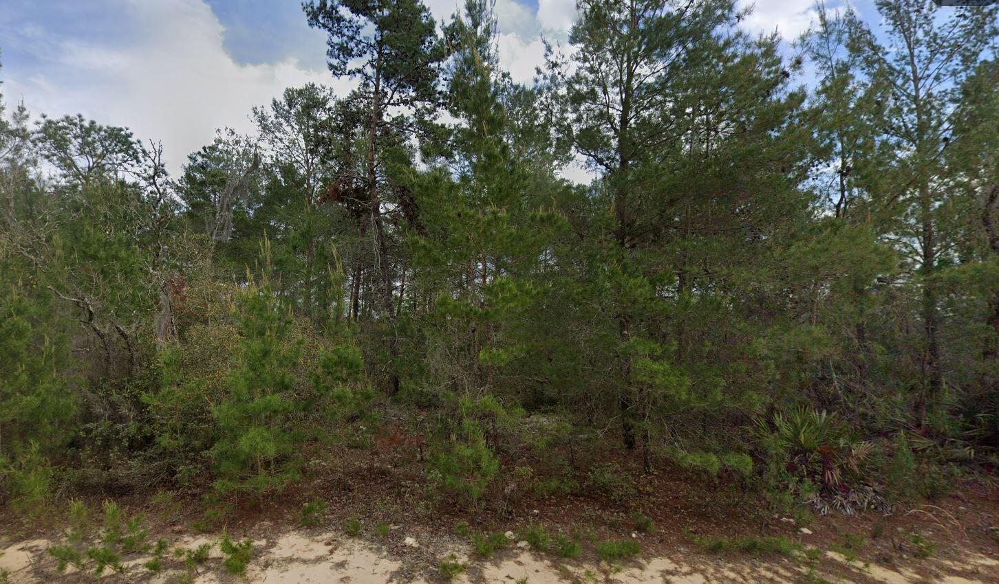 828 Neilsen Ave