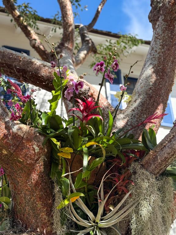 101 Palmetto West Palm Beach, FL 33405