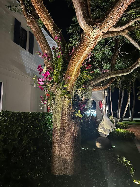 101 Palmetto West Palm Beach, FL 33405