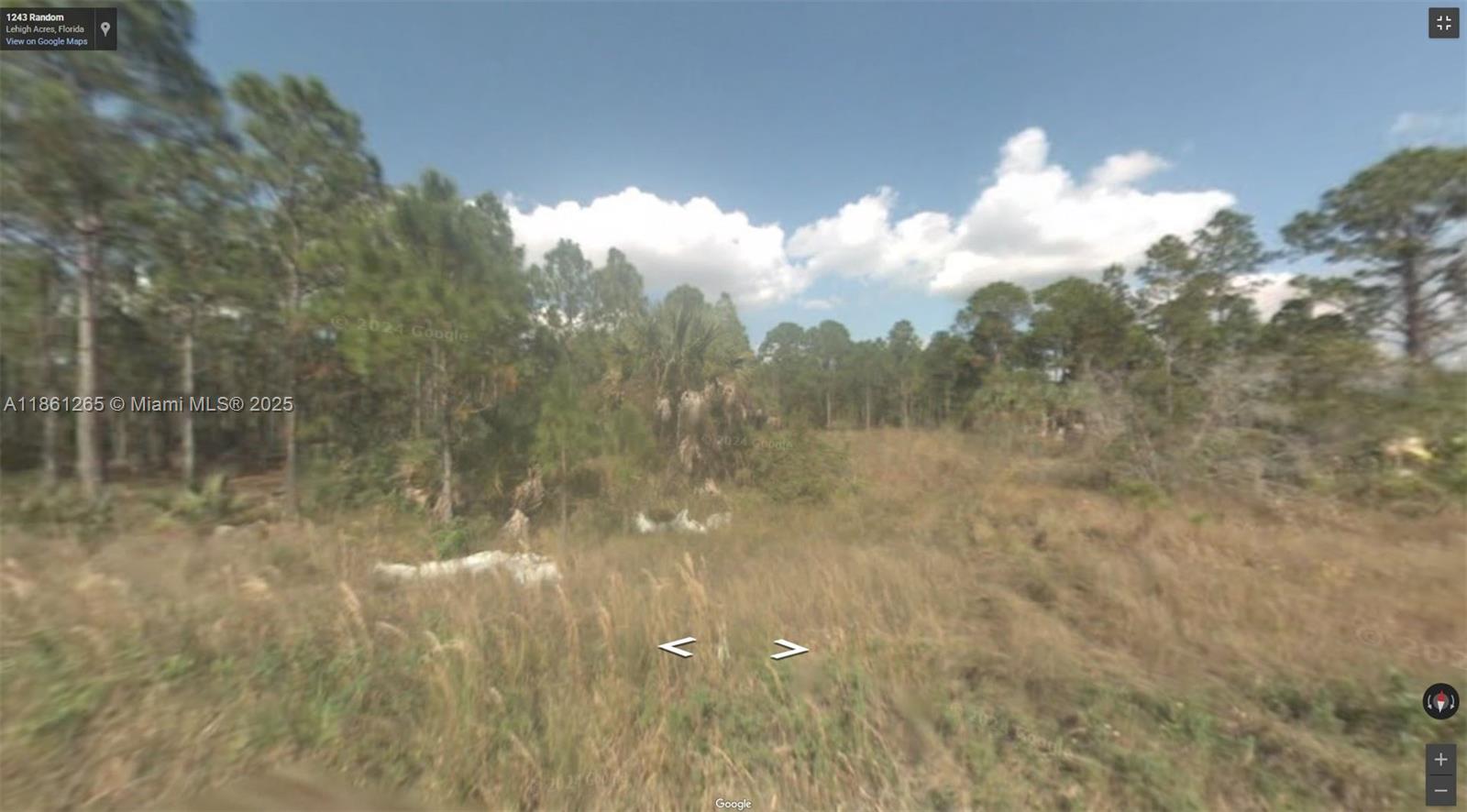 1243 E Random St Lehigh Acres, FL 33974 1243 E Random St Lehigh Acres, FL 33974