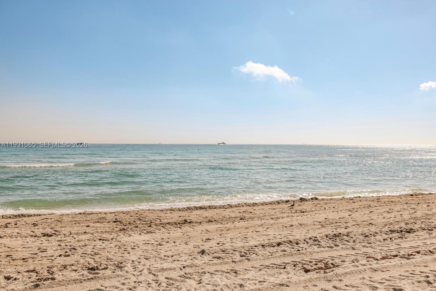 6917 Collins Ave #1008 Miami Beach, FL 33141