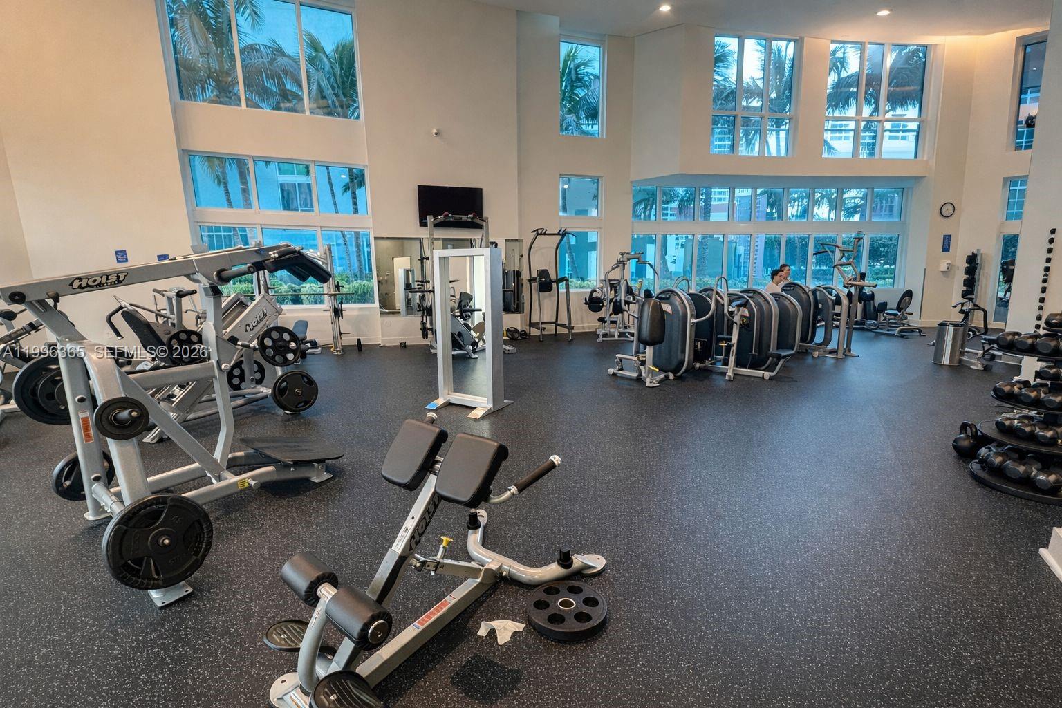 image Quantum on the Bay15