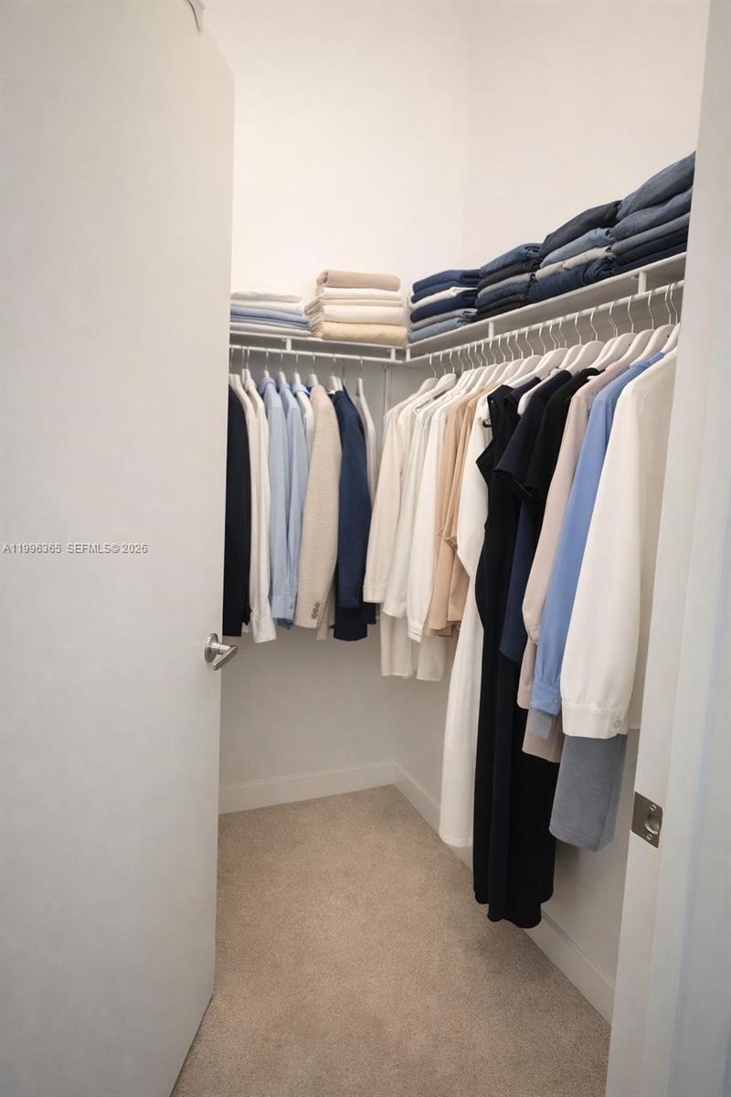 image Quantum on the Bay5