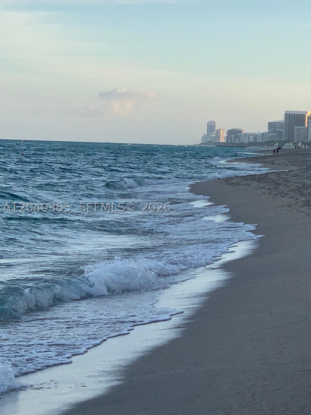 16500 Collins Ave #1856 Sunny Isles Beach, FL 33160