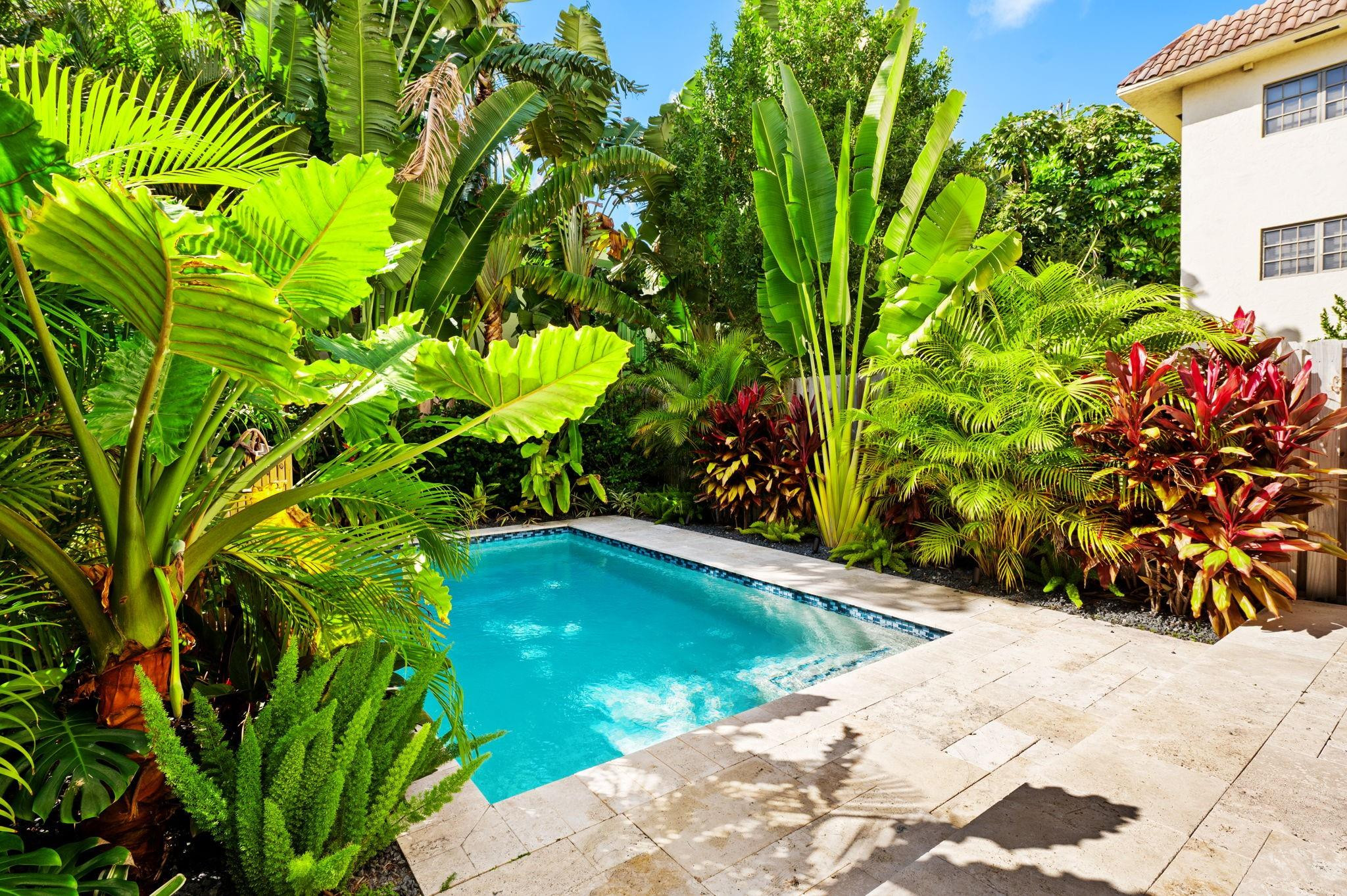 907 NE 16th Fort Lauderdale, FL 33304