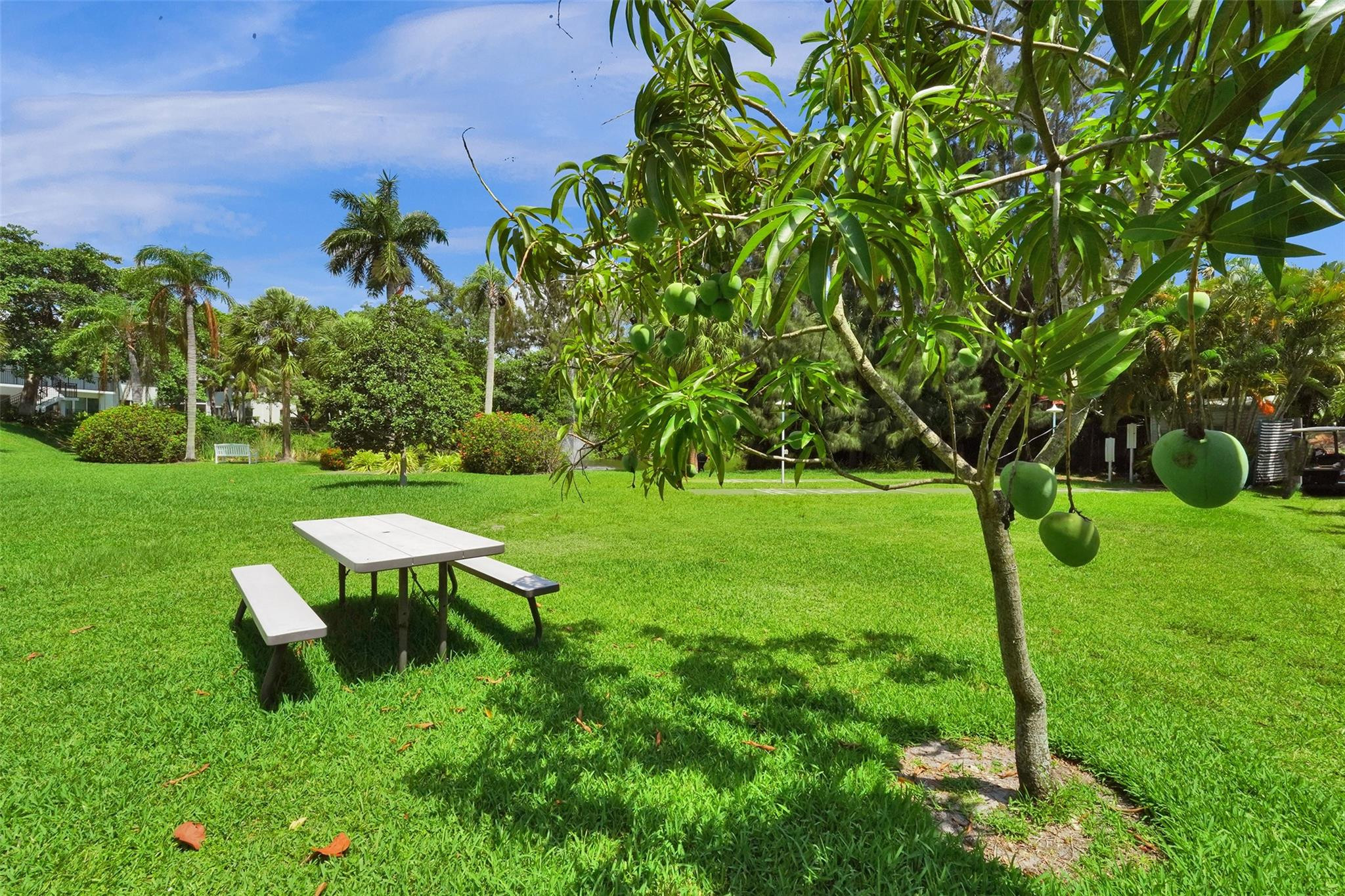 1055 SE 15th #14C Fort Lauderdale, FL 33316