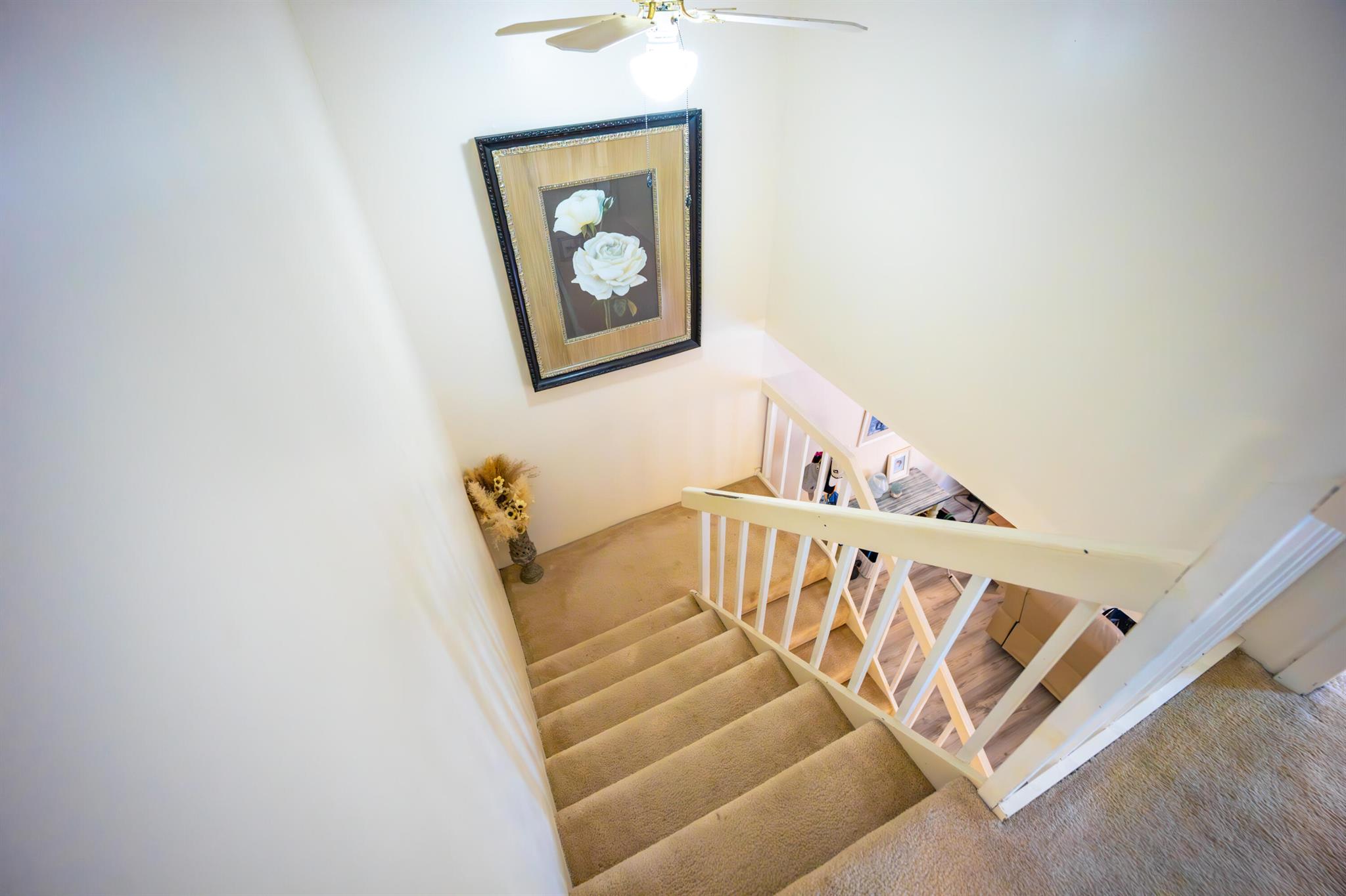 141 Ocean Cv Dr Jupiter, FL 33477