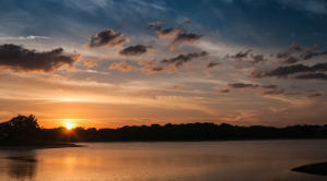 2650 Greenwood #1250