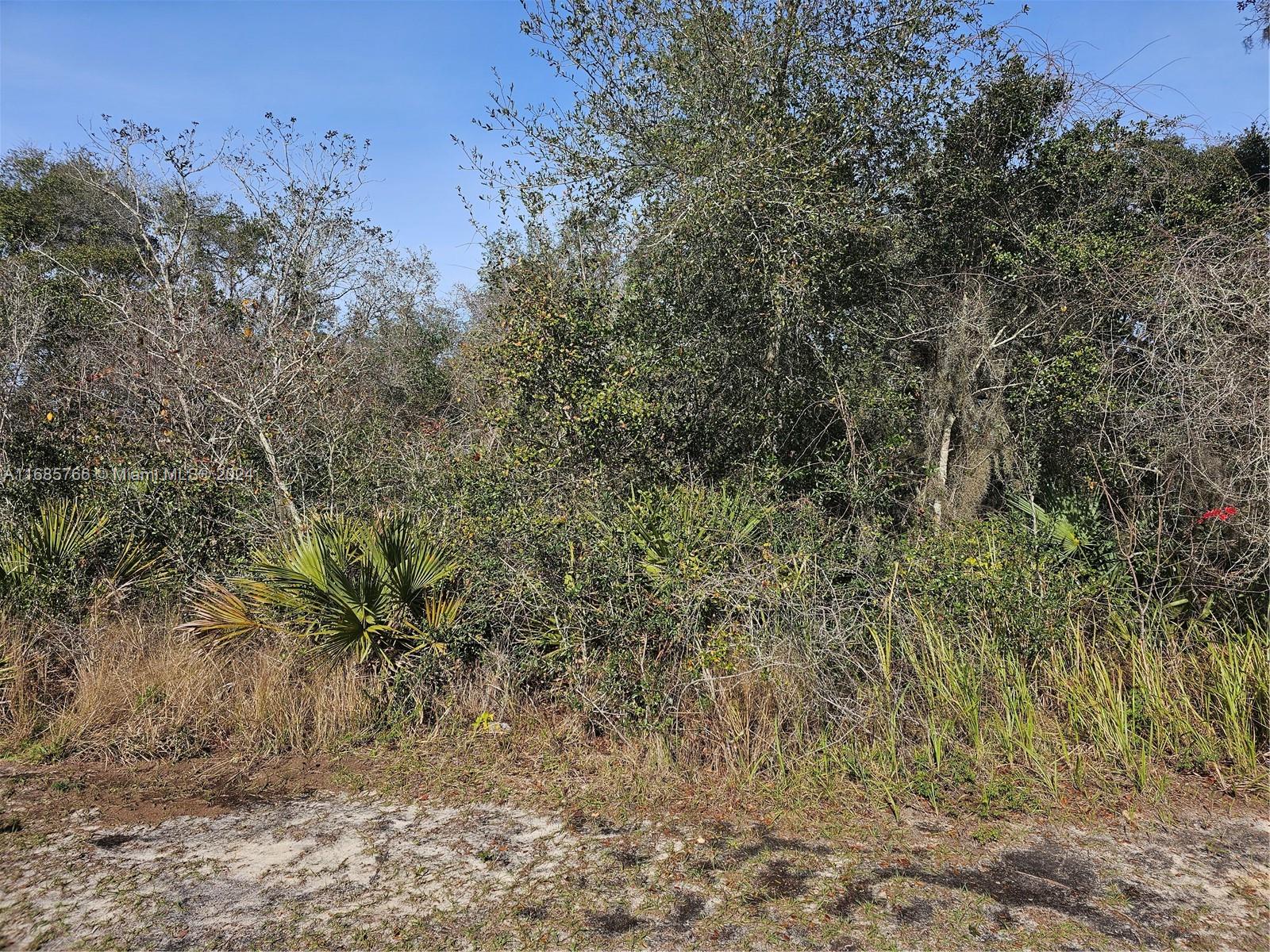 Undetermined,Ocala, FL 34472