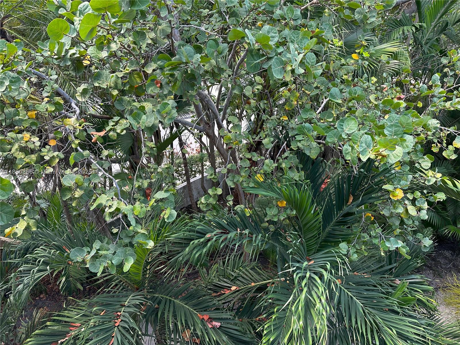 55 Ocean Ln Dr #4020 Key Biscayne, FL 33149