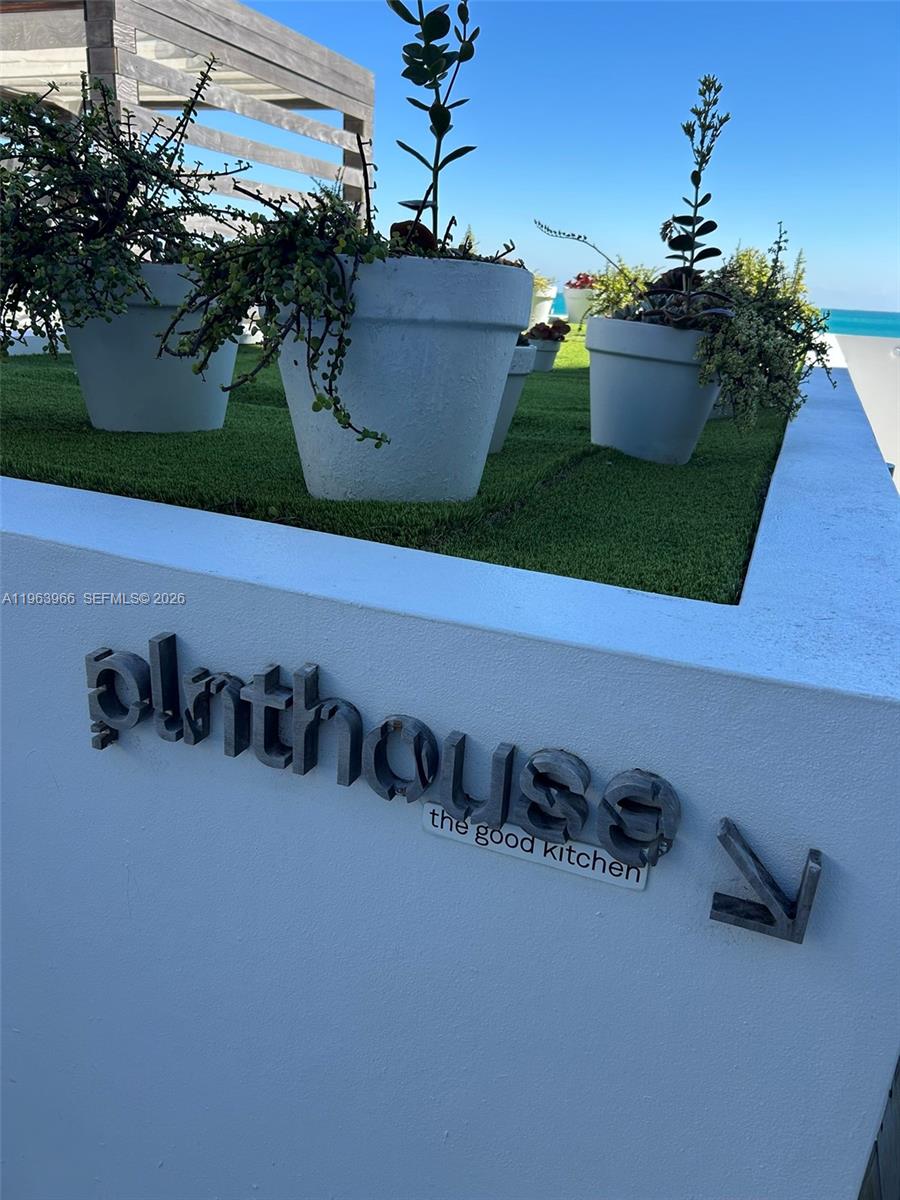 image Roney Palace18