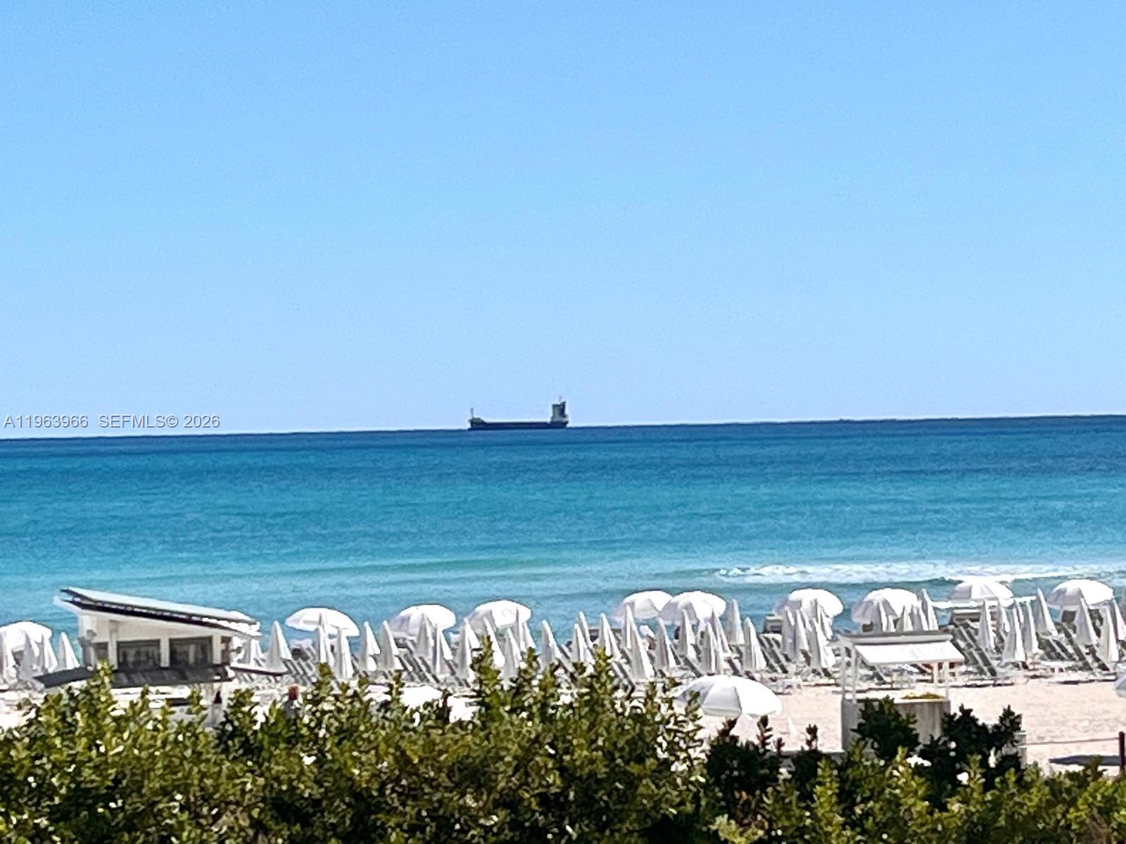 image Roney Palace21