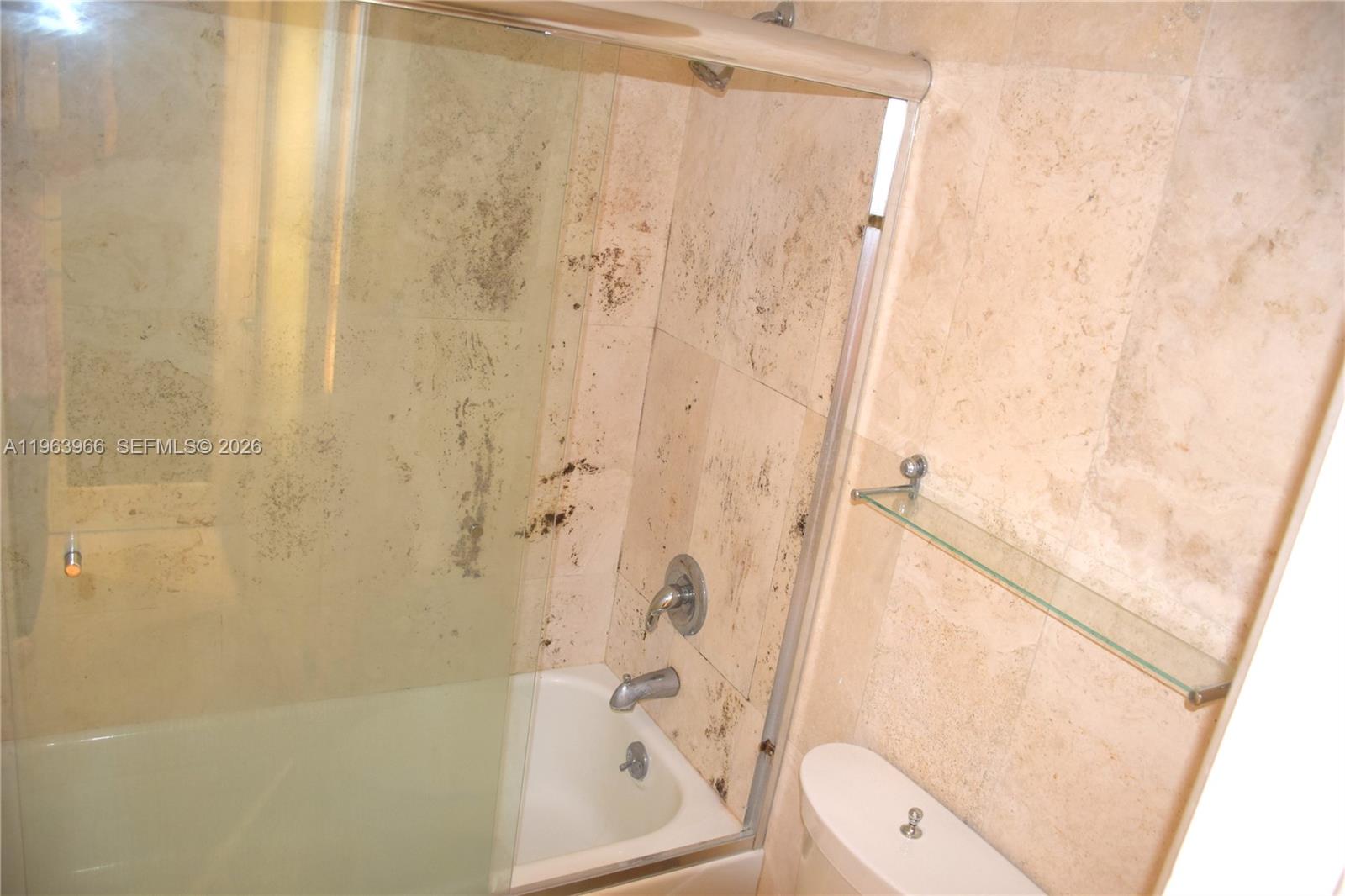 image Roney Palace22