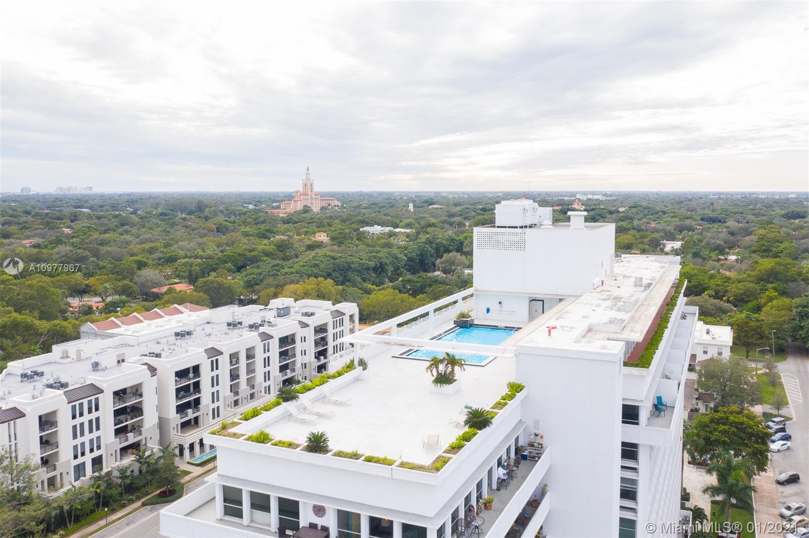 image David William1