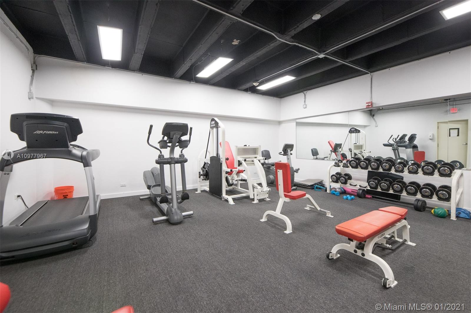 image David William22