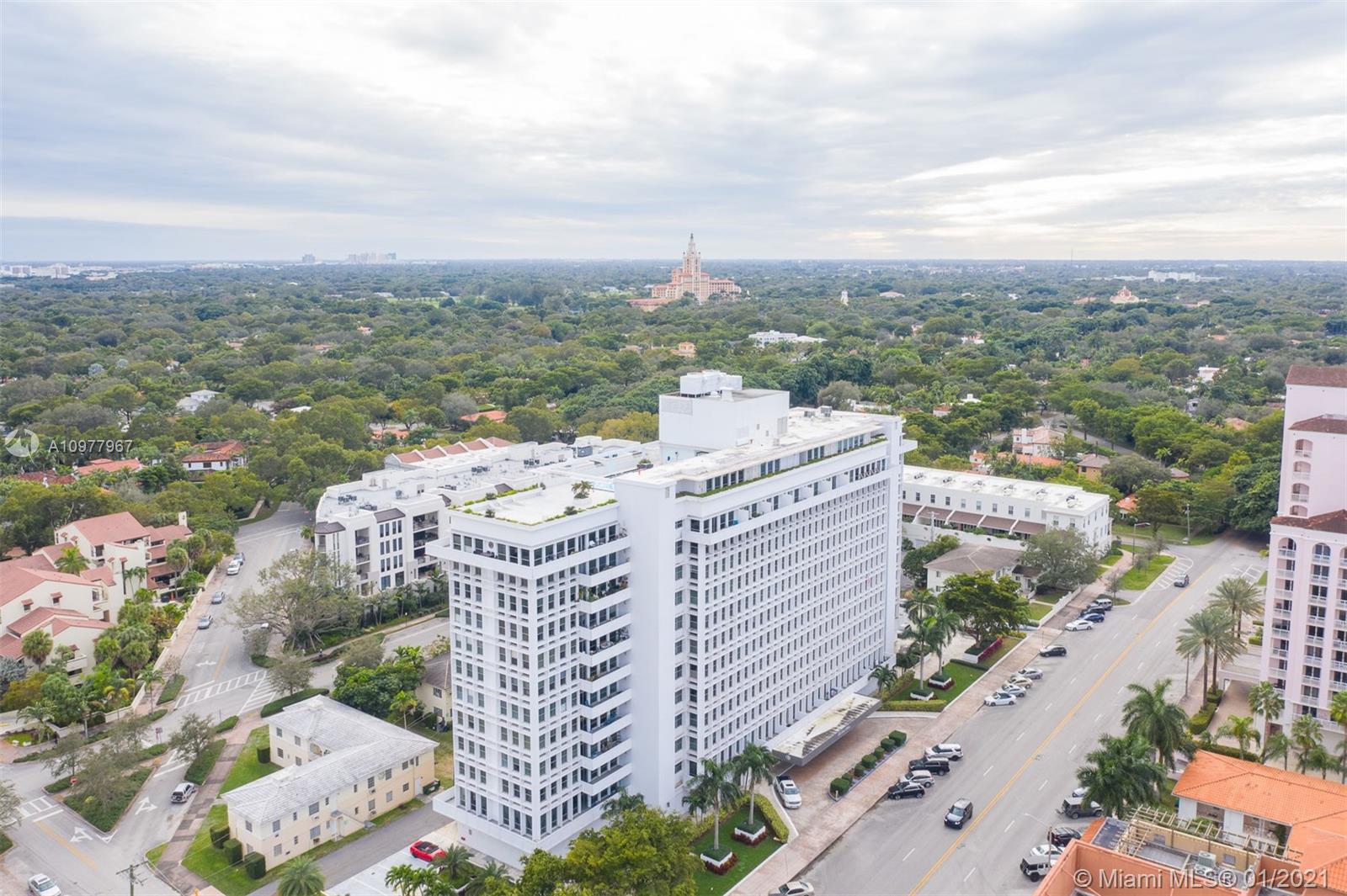 image David William28