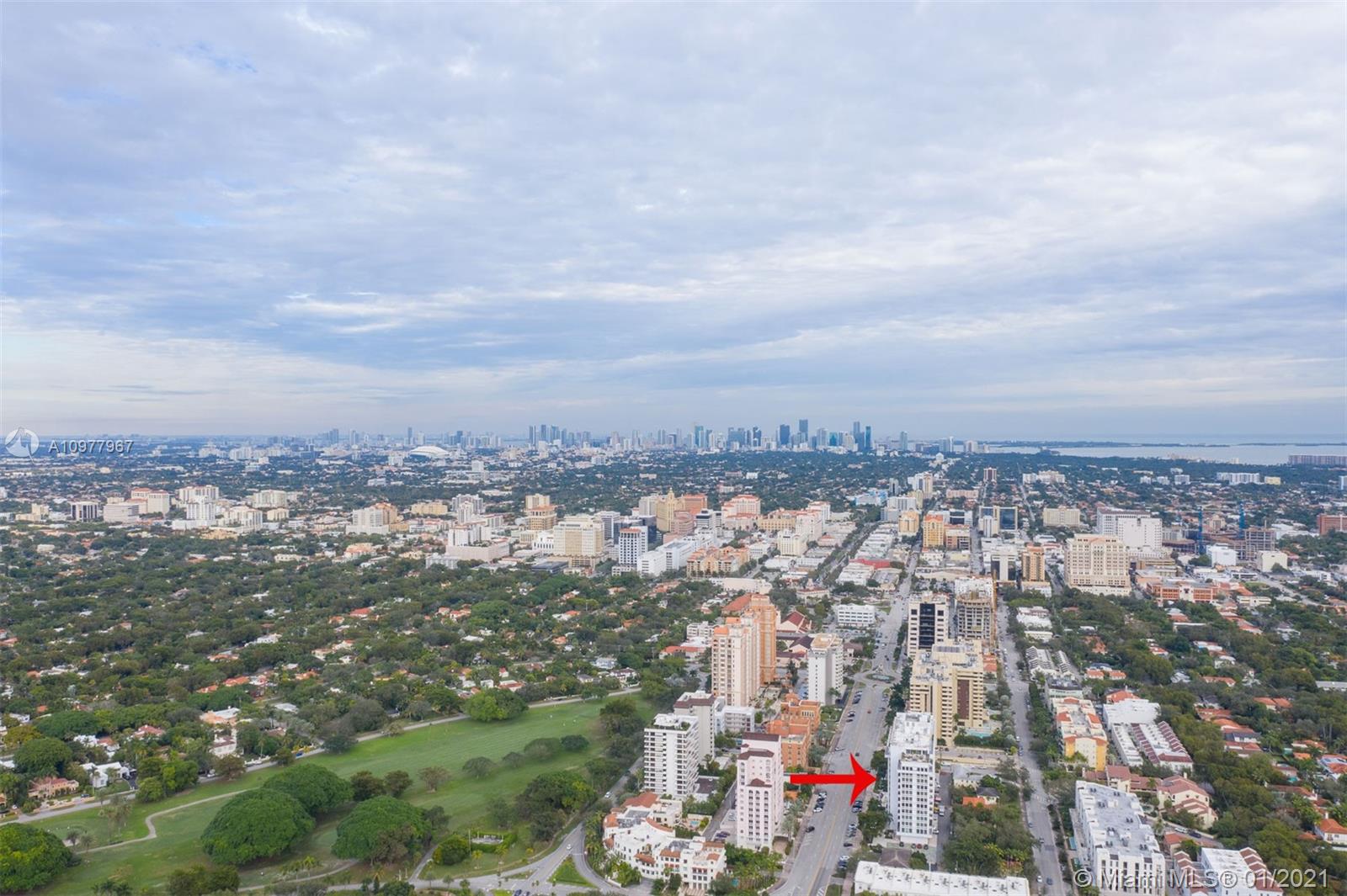 image David William29