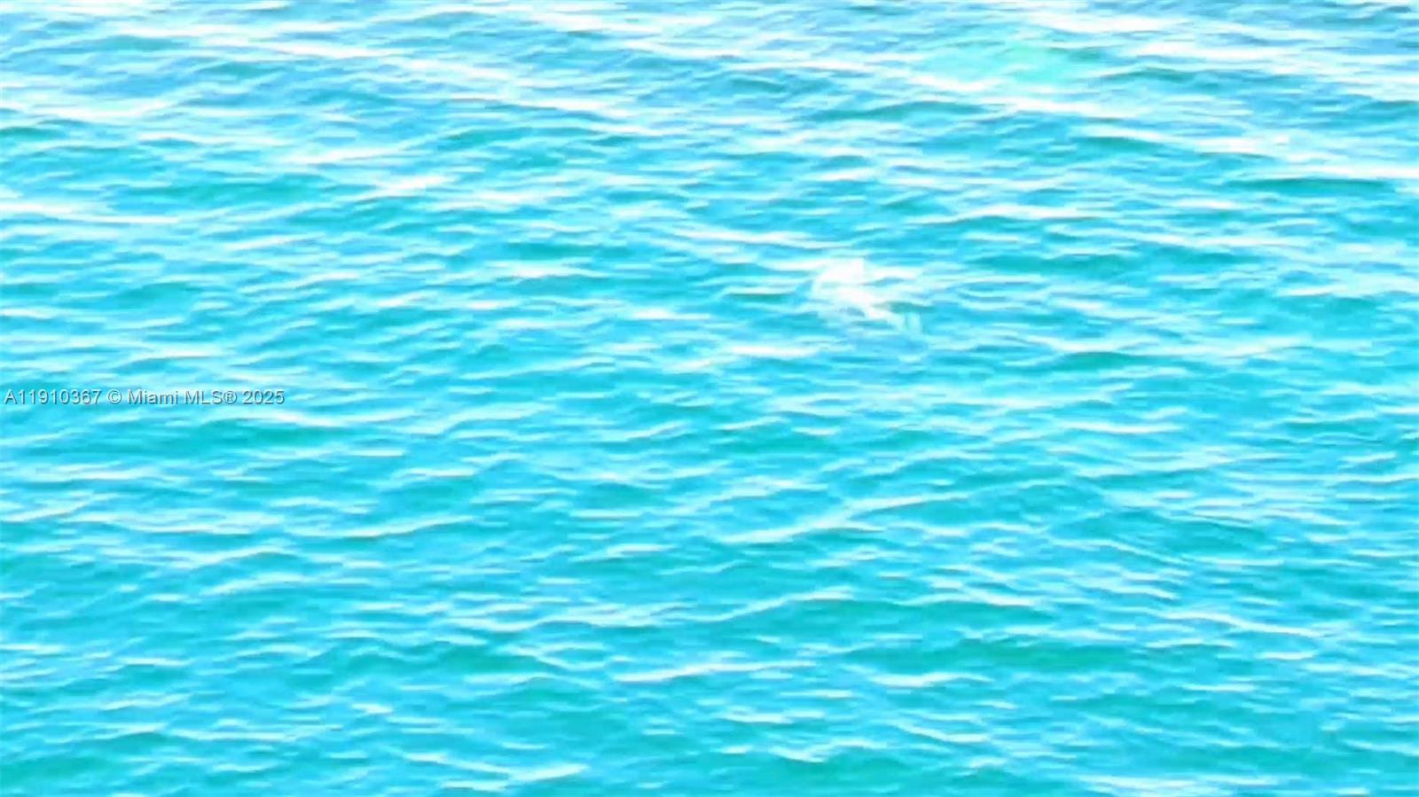 1625 Kennedy Cswy #1103B North Bay Village, FL 33141