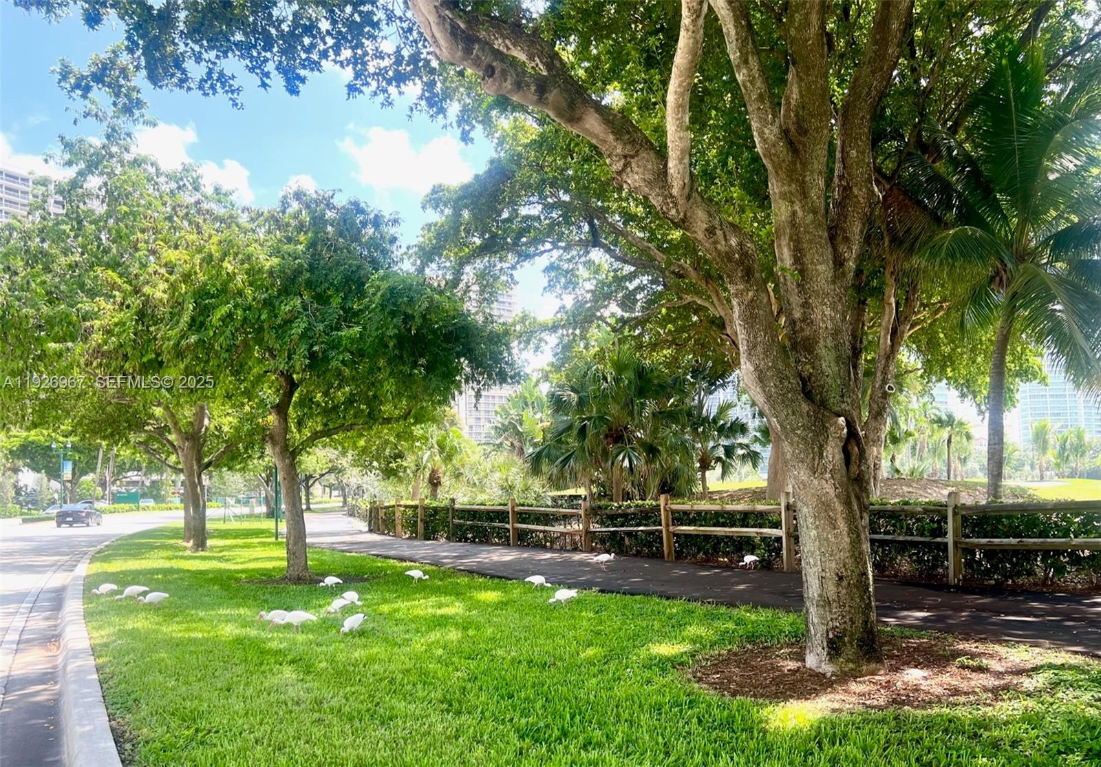 3530 Mystic Pointe Dr #1714 Aventura, FL 33180