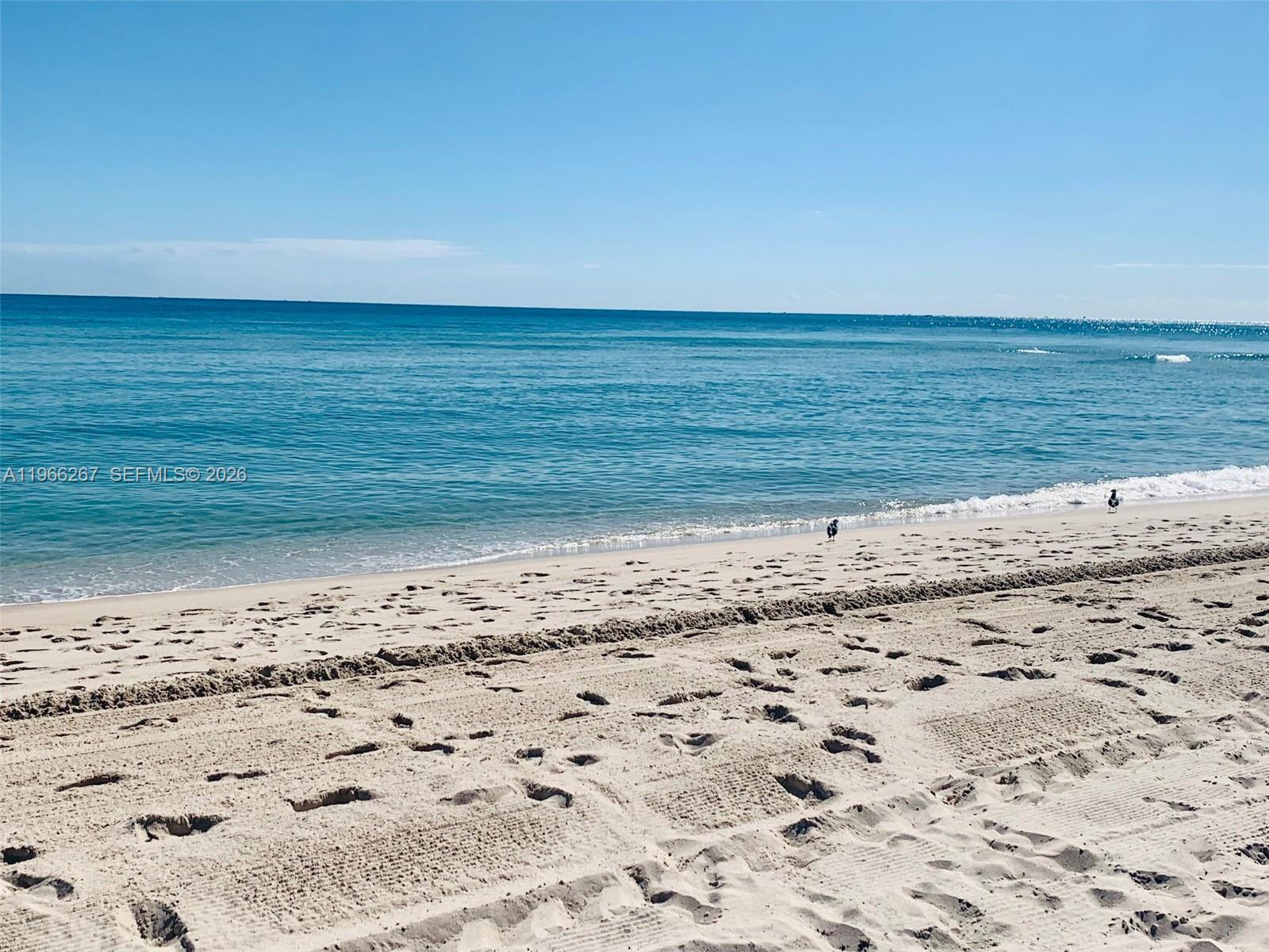 5757 Collins Ave #1003 Miami Beach, FL 33140