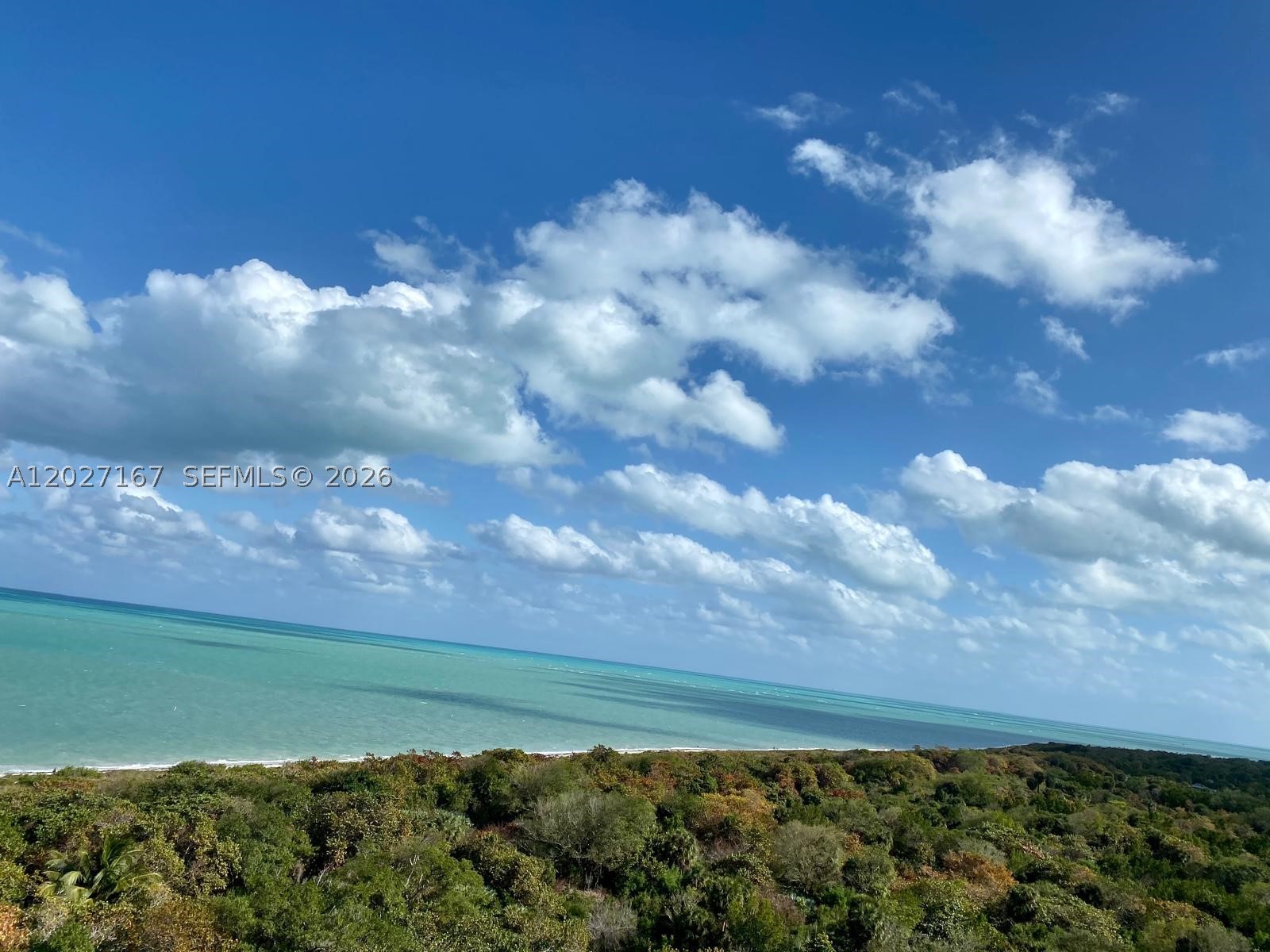 image Towers of Key Biscayne0
