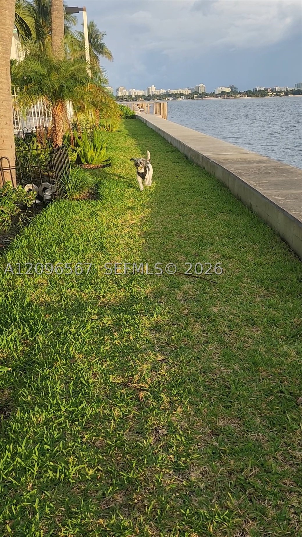 2000 Bay Dr #203 Miami Beach, FL 33141