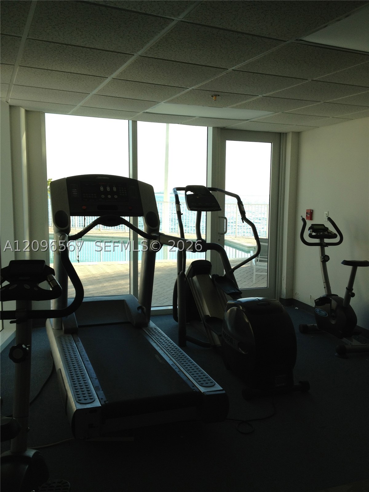 2000 Bay Dr #203 Miami Beach, FL 33141