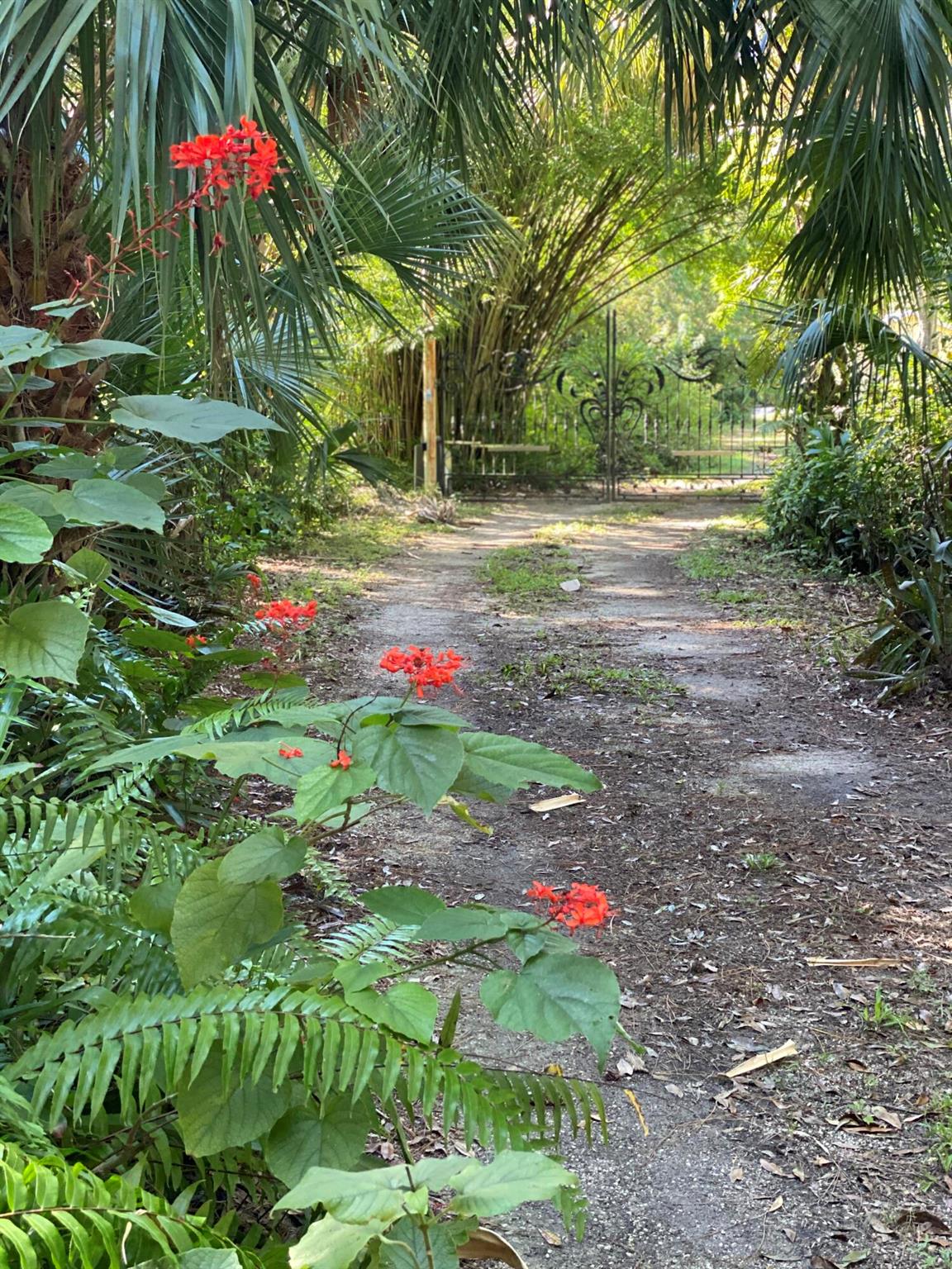 17437 Jupiter Farms Rd Jupiter, FL 33478