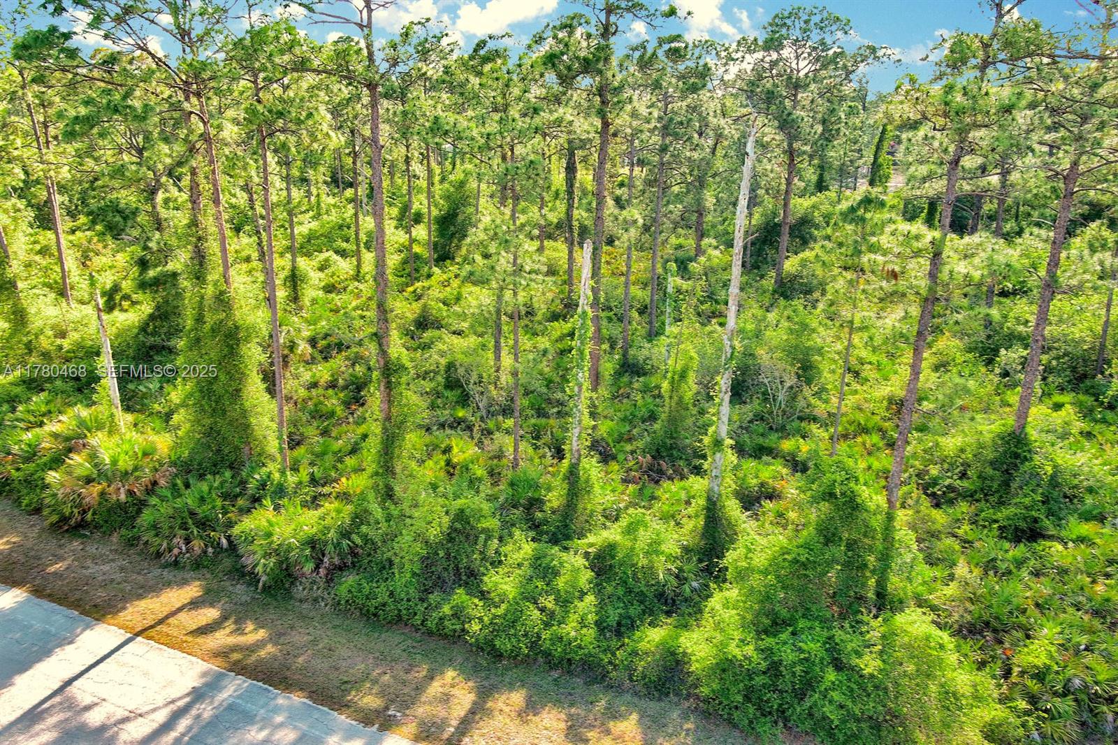 2019 Columbus Ave, lehigh acres, FL 33920
