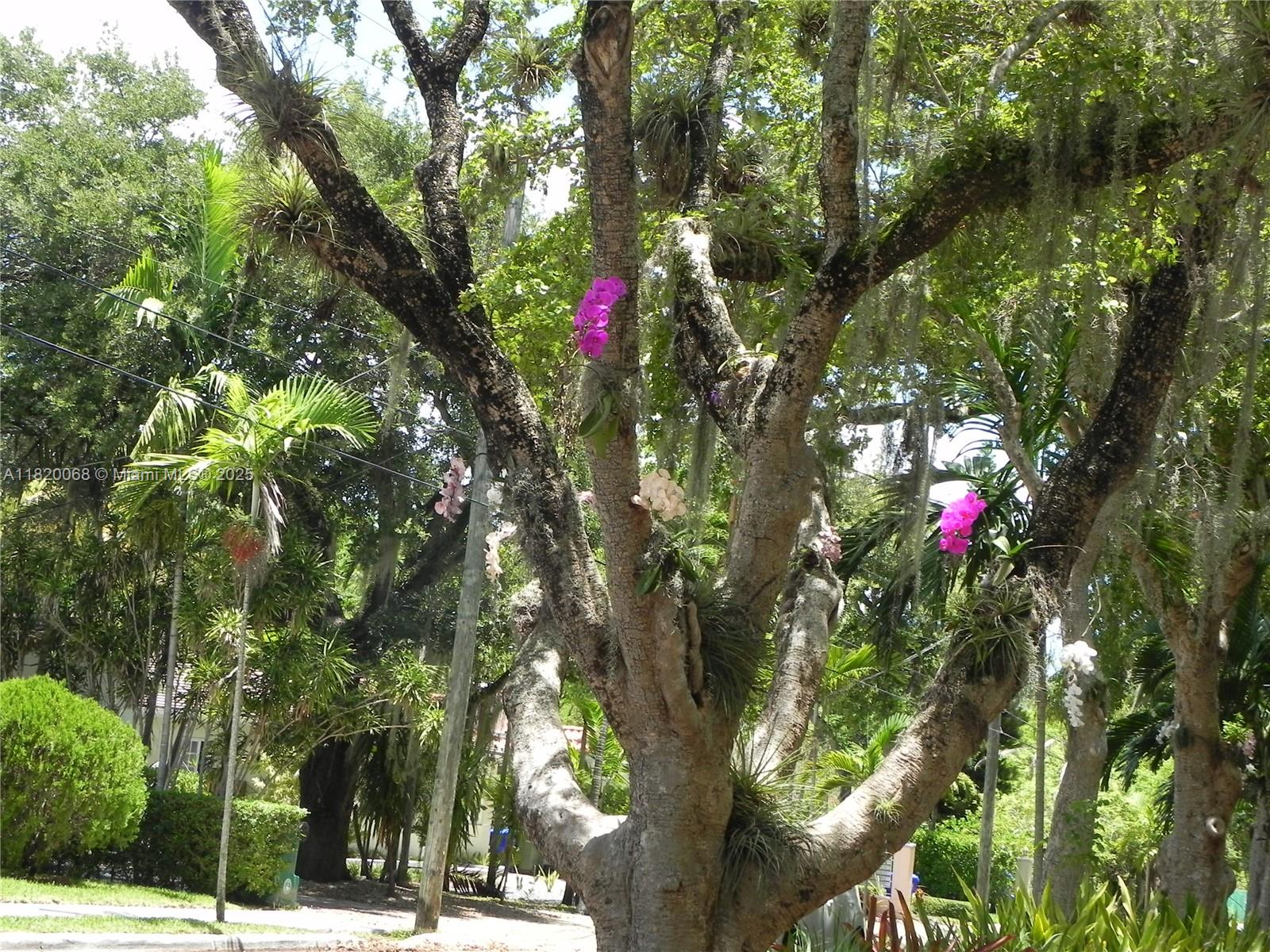 Undisclosed Address Miami, FL 33138