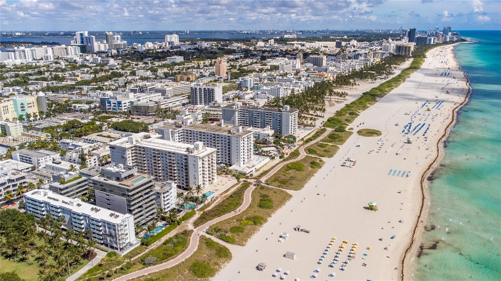 401 Ocean Dr #421 Miami Beach, FL 33139