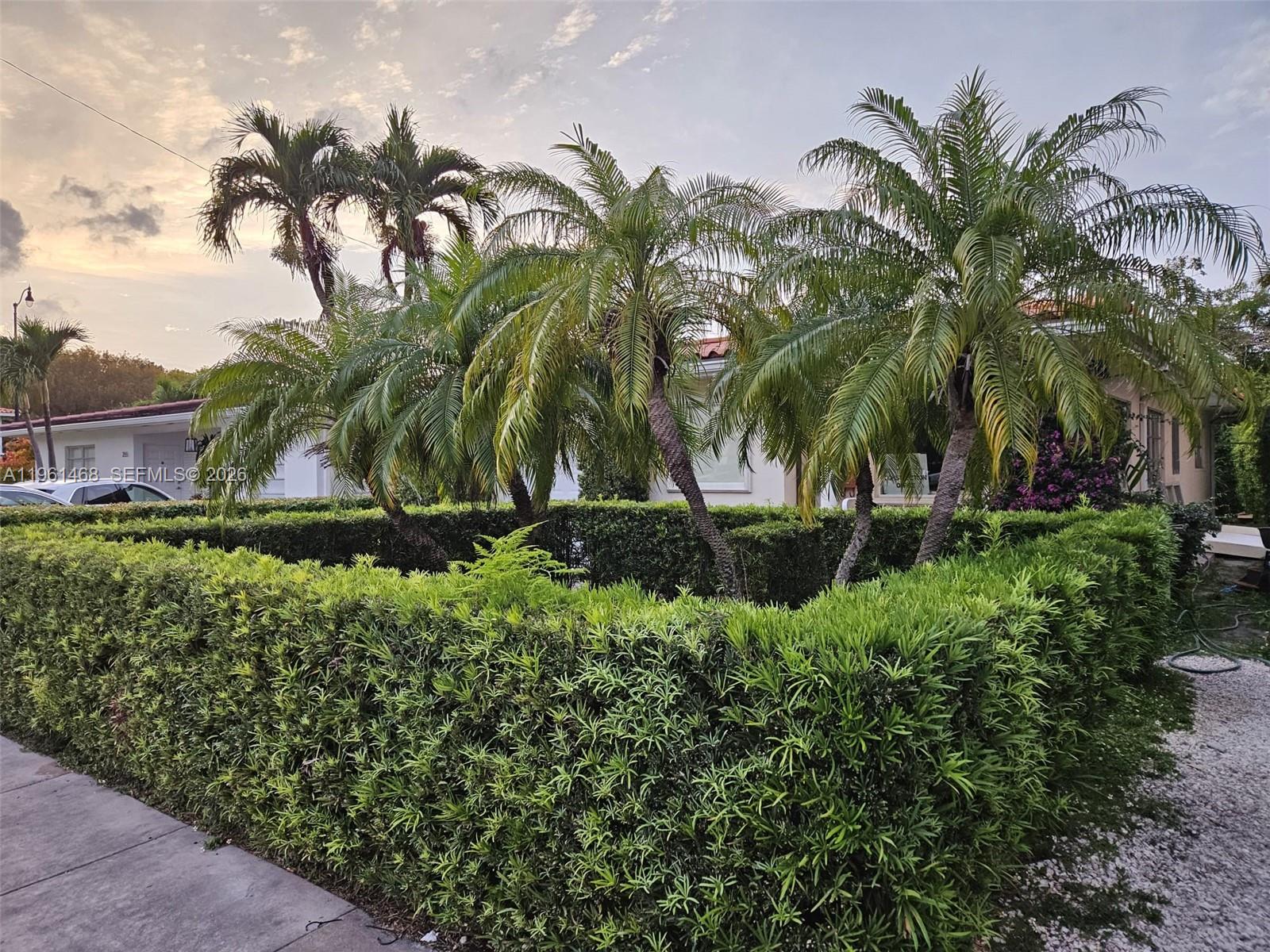 345 Malaga Ave Coral Gables, FL 33134