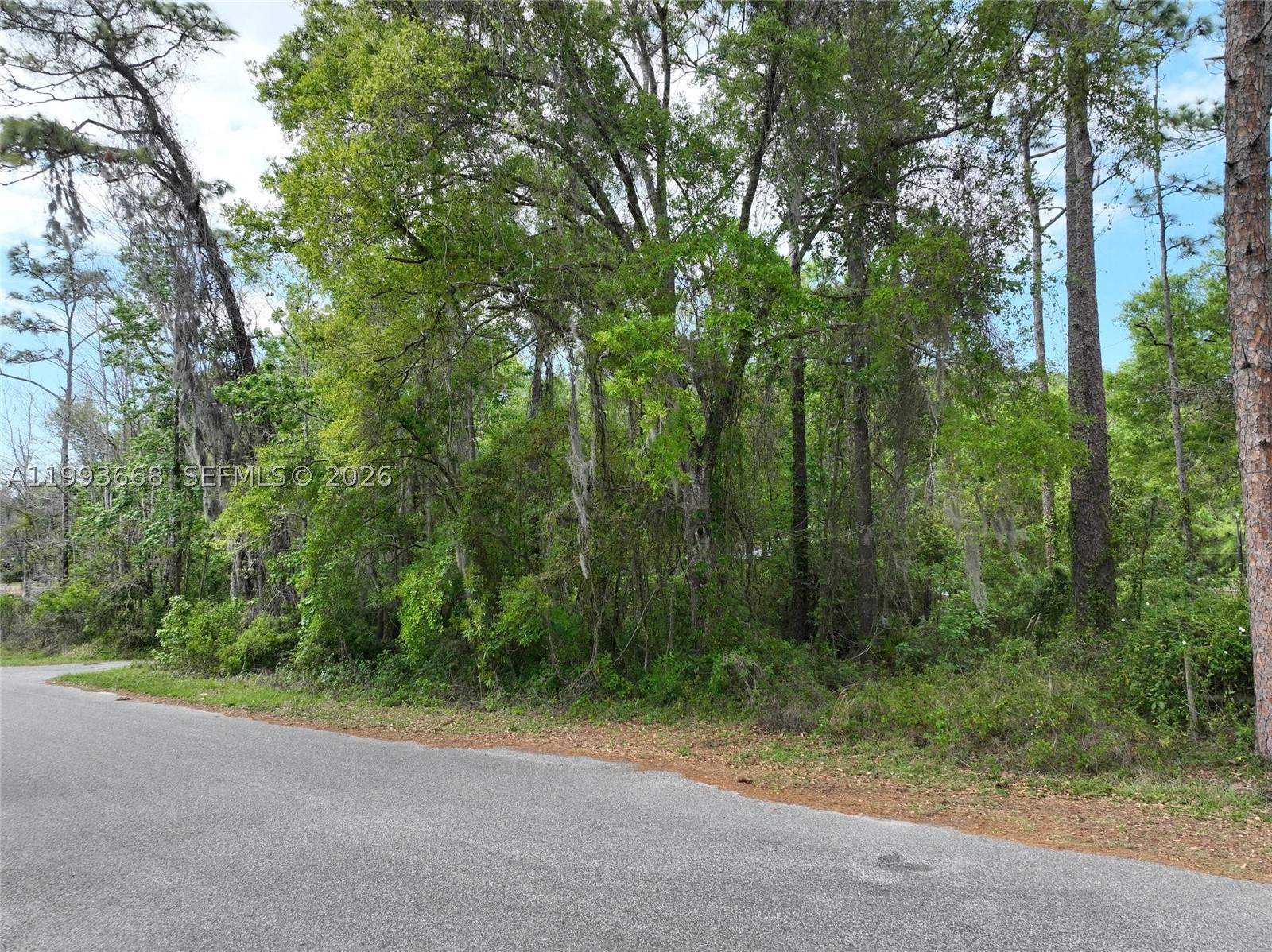 Eagle Lk Ave New Port Richey, FL 34654