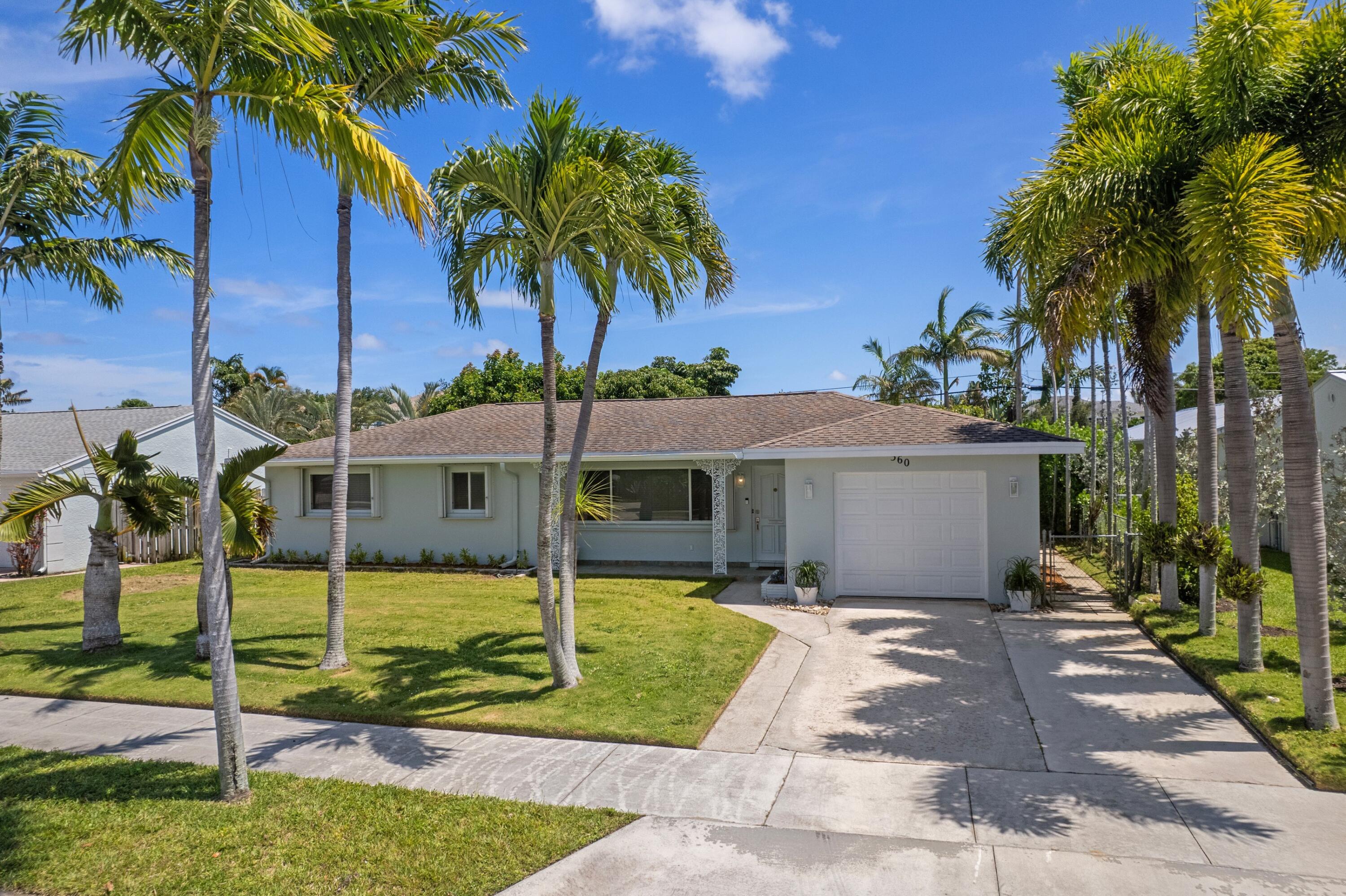 360 Palmetto