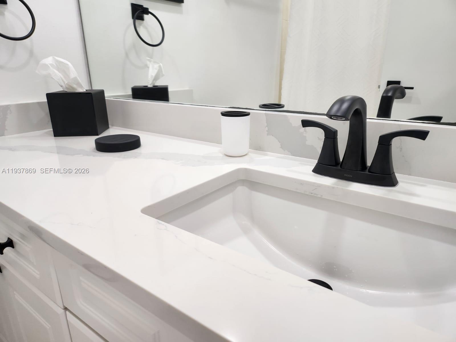 image Roney Palace24